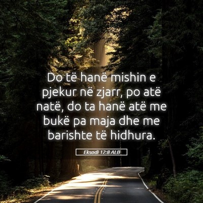 Picture 05 - Eksodi 12:8 ALB - Do të hanë mishin e pjekur në zjarr, po atë - Bible Verse Picture