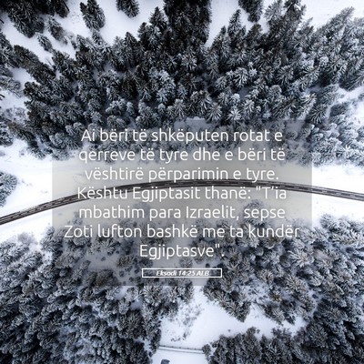 Picture 05 - Eksodi 14:25 ALB - Ai bëri të shkëputen rotat e qerreve të tyre - Bible Verse Picture