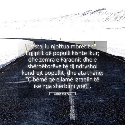 Picture 05 - Eksodi 14:5 ALB - Pastaj iu njoftua mbretit të Egjiptit që - Bible Verse Picture