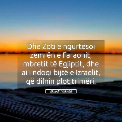 Picture 05 - Eksodi 14:8 ALB - Dhe Zoti e ngurtësoi zemrën e Faraonit, mbretit - Bible Verse Picture