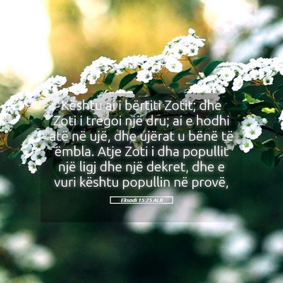 Picture 05 - Eksodi 15:25 ALB - Kështu ai i bërtiti Zotit; dhe Zoti i tregoi - Bible Verse Picture