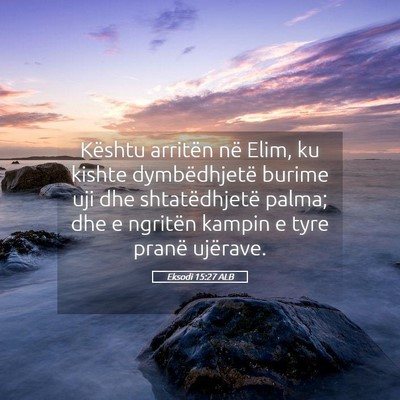 Picture 05 - Eksodi 15:27 ALB - Kështu arritën në Elim, ku kishte - Bible Verse Picture