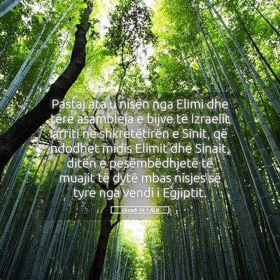 Picture 05 - Eksodi 16:1 ALB - Pastaj ata u nisën nga Elimi dhe tërë - Bible Verse Picture