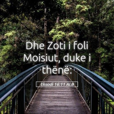 Picture 05 - Eksodi 16:11 ALB - Dhe Zoti i foli Moisiut, duke i - Bible Verse Picture