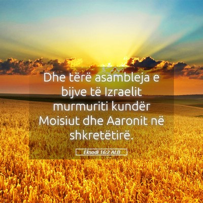 Picture 05 - Eksodi 16:2 ALB - Dhe tërë asambleja e bijve të Izraelit - Bible Verse Picture