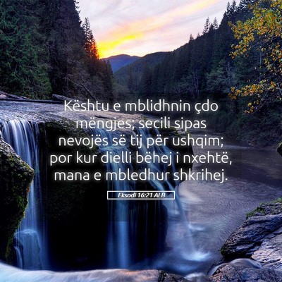 Picture 05 - Eksodi 16:21 ALB - Kështu e mblidhnin çdo mëngjes; secili sipas - Bible Verse Picture