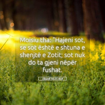 Picture 05 - Eksodi 16:25 ALB - Moisiu tha: 