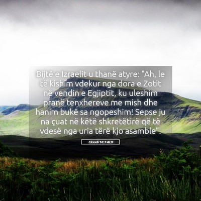 Picture 05 - Eksodi 16:3 ALB - Bijtë e Izraelit u thanë atyre: 