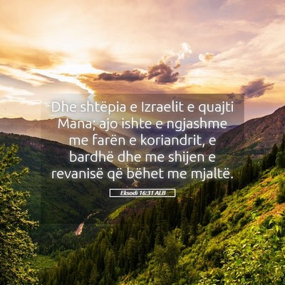 Picture 05 - Eksodi 16:31 ALB - Dhe shtëpia e Izraelit e quajti Mana; ajo ishte - Bible Verse Picture