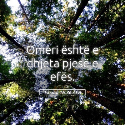 Picture 05 - Eksodi 16:36 ALB - Omeri është e dhjeta pjesë e - Bible Verse Picture