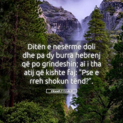 Picture 05 - Eksodi 2:13 ALB - Ditën e nesërme doli dhe pa dy burra hebrenj - Bible Verse Picture