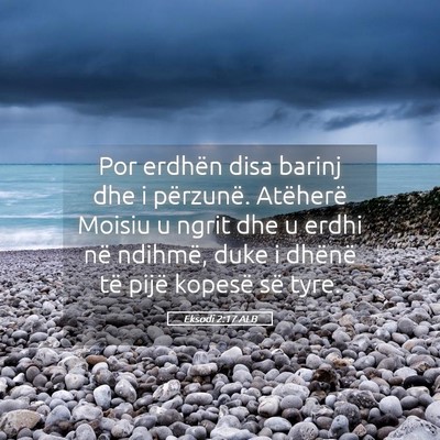 Picture 05 - Eksodi 2:17 ALB - Por erdhën disa barinj dhe i përzunë. - Bible Verse Picture