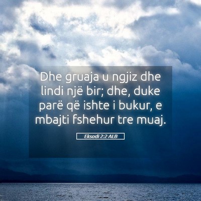 Picture 05 - Eksodi 2:2 ALB - Dhe gruaja u ngjiz dhe lindi një bir; dhe, duke - Bible Verse Picture
