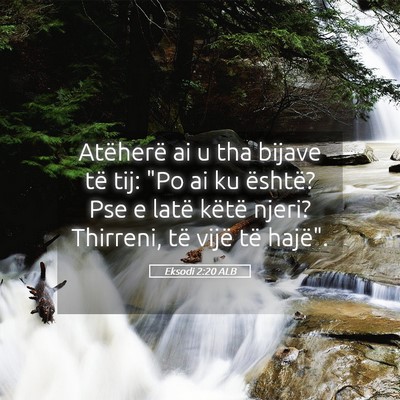 Picture 05 - Eksodi 2:20 ALB - Atëherë ai u tha bijave të tij: 