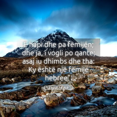 Picture 05 - Eksodi 2:6 ALB - E hapi dhe pa fëmijën; dhe ja, i vogli po - Bible Verse Picture