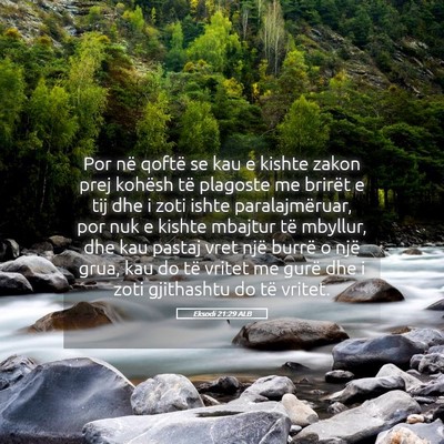 Picture 05 - Eksodi 21:29 ALB - Por në qoftë se kau e kishte zakon prej kohësh - Bible Verse Picture