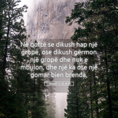 Picture 05 - Eksodi 21:33 ALB - Në qoftë se dikush hap një gropë, ose dikush - Bible Verse Picture