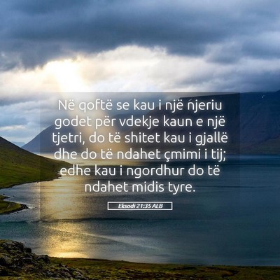 Picture 05 - Eksodi 21:35 ALB - Në qoftë se kau i një njeriu godet për vdekje - Bible Verse Picture