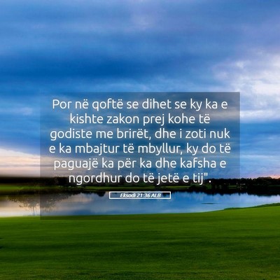 Picture 05 - Eksodi 21:36 ALB - Por në qoftë se dihet se ky ka e kishte zakon - Bible Verse Picture
