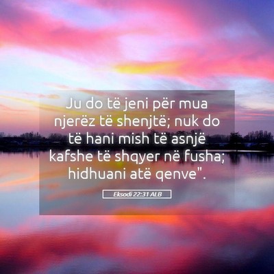 Picture 05 - Eksodi 22:31 ALB - Ju do të jeni për mua njerëz të shenjtë; nuk - Bible Verse Picture
