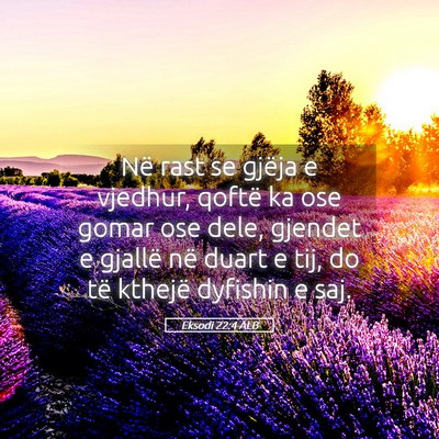 Picture 05 - Eksodi 22:4 ALB - Në rast se gjëja e vjedhur, qoftë ka ose gomar - Bible Verse Picture