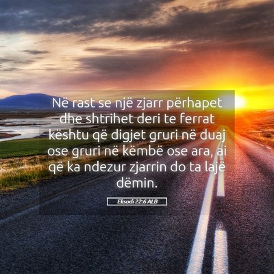Picture 05 - Eksodi 22:6 ALB - Në rast se një zjarr përhapet dhe shtrihet - Bible Verse Picture