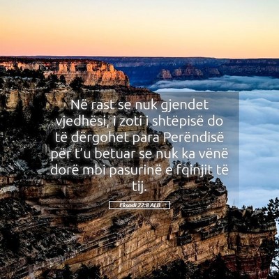 Picture 05 - Eksodi 22:8 ALB - Në rast se nuk gjendet vjedhësi, i zoti i - Bible Verse Picture