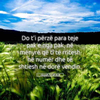 Picture 05 - Eksodi 23:30 ALB - Do t’i përzë para teje pak e nga pak, në - Bible Verse Picture