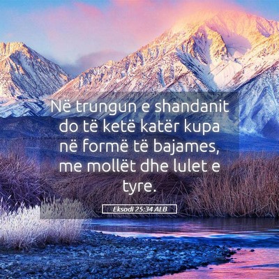 Picture 05 - Eksodi 25:34 ALB - Në trungun e shandanit do të ketë katër kupa - Bible Verse Picture