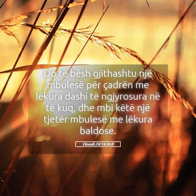 Picture 05 - Eksodi 26:14 ALB - Do të bësh gjithashtu një mbulesë për - Bible Verse Picture