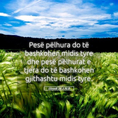 Picture 05 - Eksodi 26:3 ALB - Pesë pëlhura do të bashkohen midis tyre dhe - Bible Verse Picture