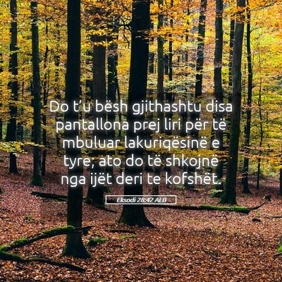 Picture 05 - Eksodi 28:42 ALB - Do t’u bësh gjithashtu disa pantallona prej - Bible Verse Picture