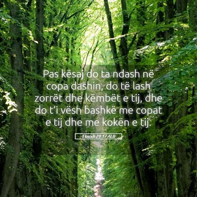 Picture 05 - Eksodi 29:17 ALB - Pas kësaj do ta ndash në copa dashin, do të - Bible Verse Picture