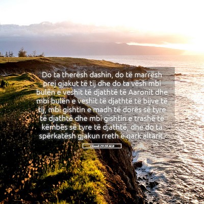 Picture 05 - Eksodi 29:20 ALB - Do ta therësh dashin, do të marrësh prej - Bible Verse Picture