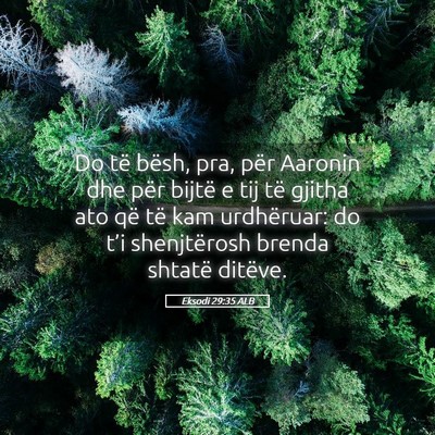 Picture 05 - Eksodi 29:35 ALB - Do të bësh, pra, për Aaronin dhe për bijtë e - Bible Verse Picture
