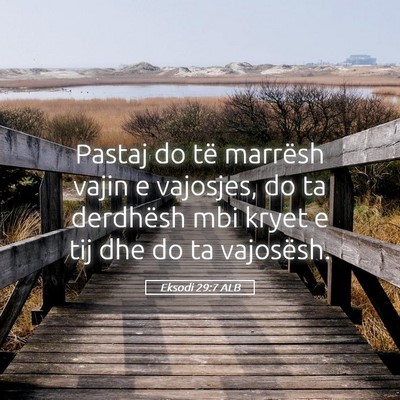 Picture 05 - Eksodi 29:7 ALB - Pastaj do të marrësh vajin e vajosjes, do ta - Bible Verse Picture