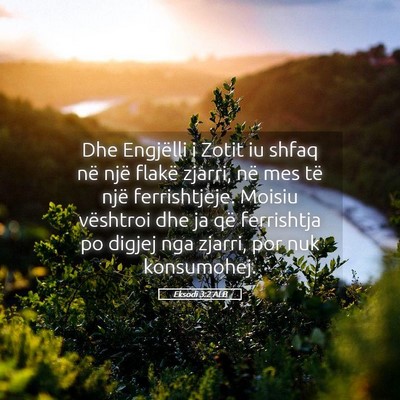 Picture 05 - Eksodi 3:2 ALB - Dhe Engjëlli i Zotit iu shfaq në një flakë - Bible Verse Picture