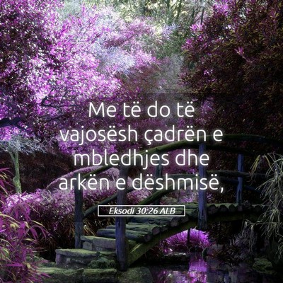 Picture 05 - Eksodi 30:26 ALB - Me të do të vajosësh çadrën e mbledhjes dhe - Bible Verse Picture