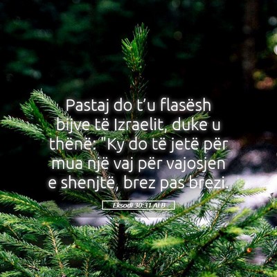 Picture 05 - Eksodi 30:31 ALB - Pastaj do t’u flasësh bijve të Izraelit, duke - Bible Verse Picture