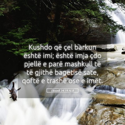 Picture 05 - Eksodi 34:19 ALB - Kushdo që çel barkun është imi; është imja - Bible Verse Picture