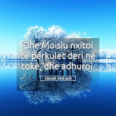 Picture 05 - Eksodi 34:8 ALB - Dhe Moisiu nxitoi të përkulet deri në tokë, - Bible Verse Picture