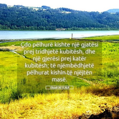 Picture 05 - Eksodi 36:15 ALB - Çdo pëlhurë kishte një gjatësi prej - Bible Verse Picture