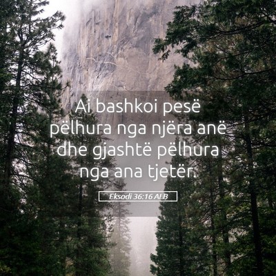 Picture 05 - Eksodi 36:16 ALB - Ai bashkoi pesë pëlhura nga njëra anë dhe - Bible Verse Picture