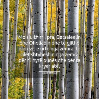 Picture 05 - Eksodi 36:2 ALB - Moisiu thirri, pra, Betsaleelin dhe Oholiabin dhe - Bible Verse Picture