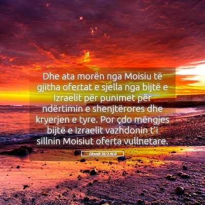 Picture 05 - Eksodi 36:3 ALB - Dhe ata morën nga Moisiu të gjitha ofertat e - Bible Verse Picture