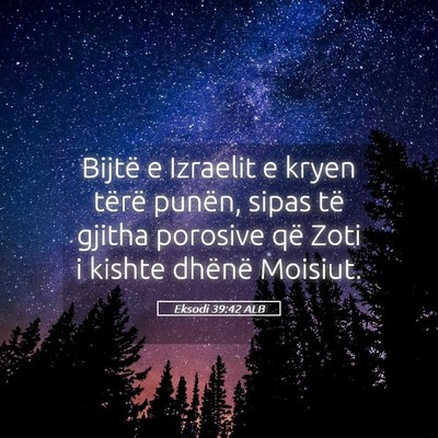Picture 05 - Eksodi 39:42 ALB - Bijtë e Izraelit e kryen tërë punën, sipas - Bible Verse Picture