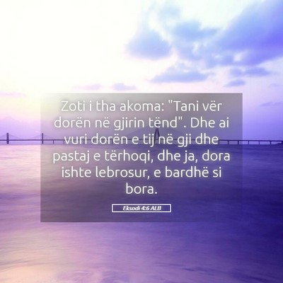 Picture 05 - Eksodi 4:6 ALB - Zoti i tha akoma: 