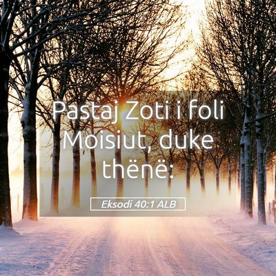 Picture 05 - Eksodi 40:1 ALB - Pastaj Zoti i foli Moisiut, duke - Bible Verse Picture