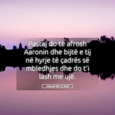 Picture 05 - Eksodi 40:12 ALB - Pastaj do të afrosh Aaronin dhe bijtë e tij në - Bible Verse Picture