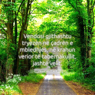 Picture 05 - Eksodi 40:22 ALB - Vendosi gjithashtu tryezën në çadrën e - Bible Verse Picture